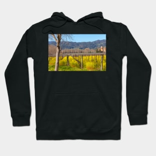 Spring in the Valley Hoodie